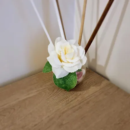 Ro Agrimaison Farma *