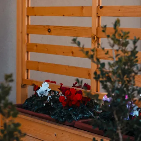 Ro Agrimaison Farmház Volla