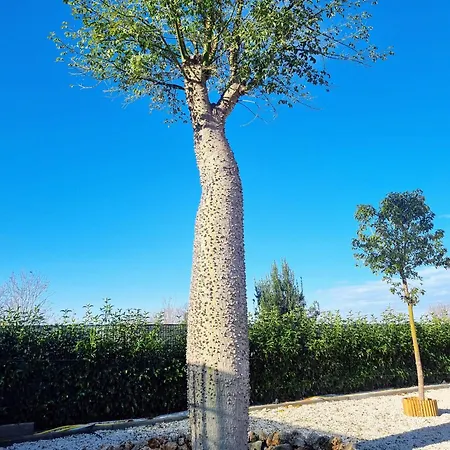 Ro Agrimaison